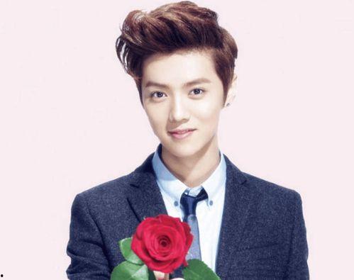 鹿晗爆料刘壮实了吗视频,视频爆料背后的惊人内幕