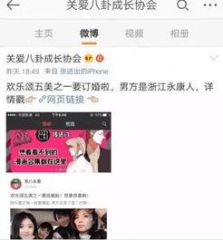吃瓜娱乐圈小说合集免费阅读